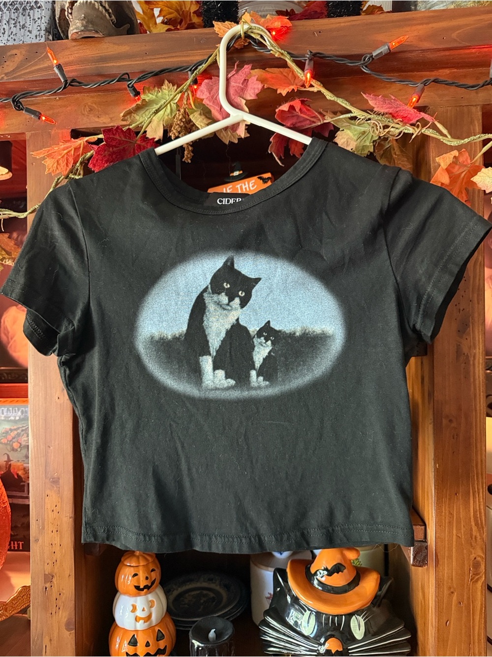 Kitty crop